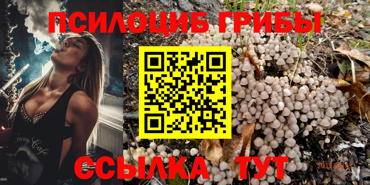 Междуреченск  Псилоцибиновые грибы GOLDEN TEACHER  Галлюциногенные грибы прущие грибы  Вход с VPN 